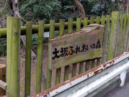 entrance to woods
