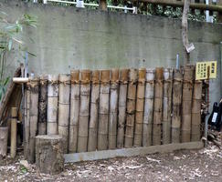 bamboo fence
