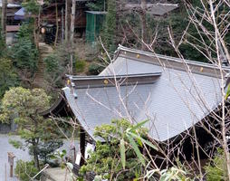view of temple from above