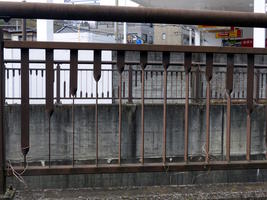 not really solid fence