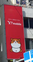 cartoon cat on ymobile sign