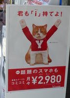 ymobile cheerleader cat