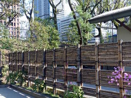 bamboo fence
