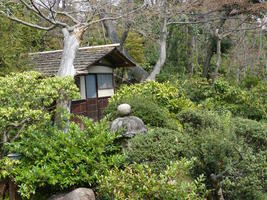 woods behind nezu museum