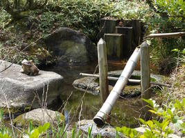 nezu museum woods