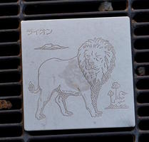 lion grate