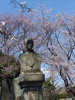 cemetery