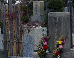 cemetery cu