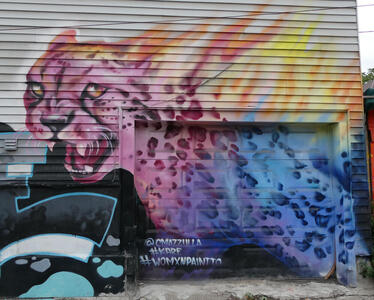 garage leopard