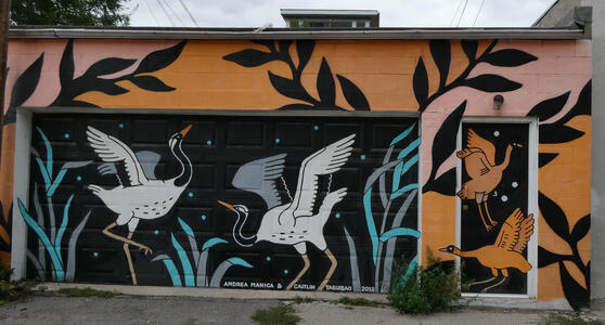 garage birds