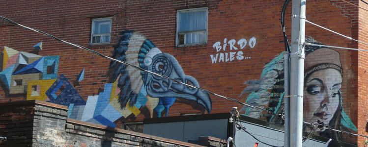 birdoo wales