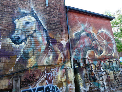 horses