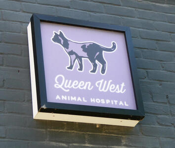 animal hospital sign