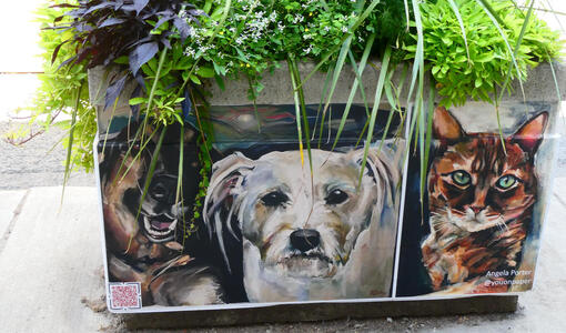 two dogs and one cat planter