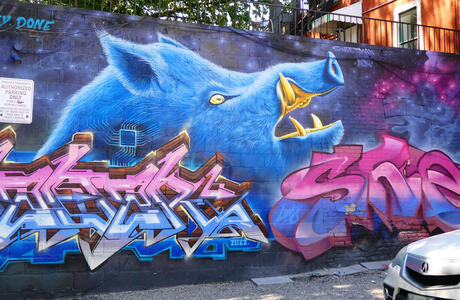 blue boar