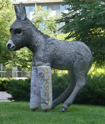 donkey with front legs in casts