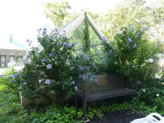 flowers in front of triangular greenhouse