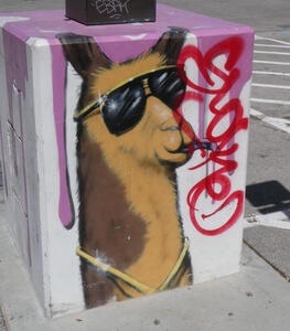 llama