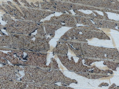 Extreme closeup showing original brickwork with painted areas.