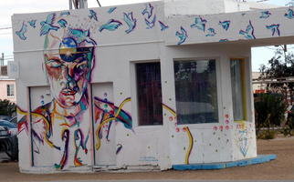 Face and birds painted on side of abandoned building.