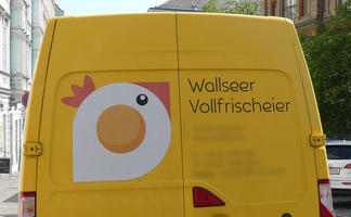 Logo resembles a chicken’s head, wth the center resembling an egg.