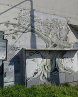 Tree painted on wall and equipment box